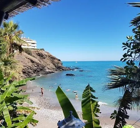 Estrella De Mar
